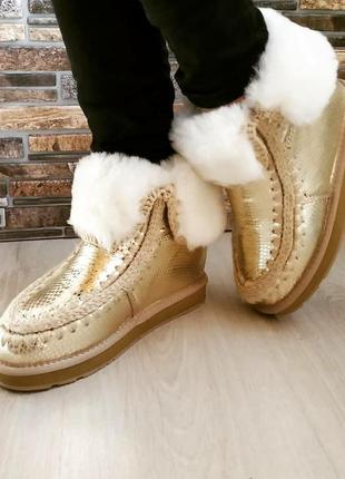 Уггі, жіноче взуття ugg оригінал