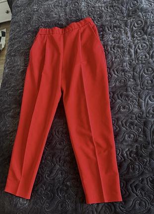 Штани, класичні штани