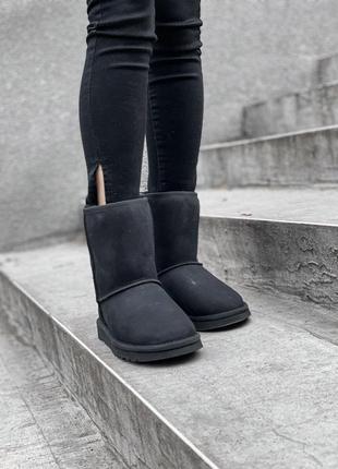 Угі ugg уггі4 фото