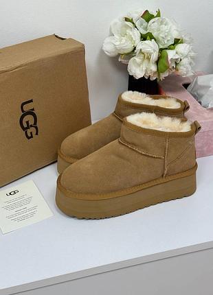 Чоботи ugg ціна: 2470грн  розмір: 40 платформа: 5 см