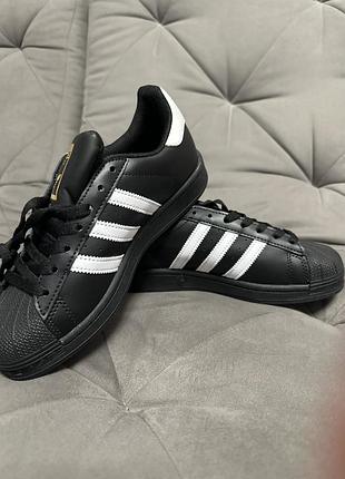 Кросівки кеди adidas superstar white black 38, 39/40, 41/42