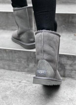 Уги ugg угги