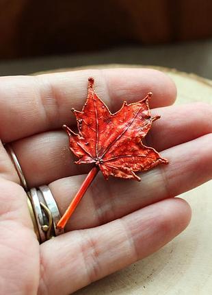Брошка клен