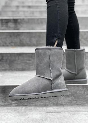 Жіночі уггі ugg classic grey