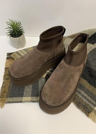 Угги уггі сапоги женские валянки шоколадні ugg classic mini dipper 1168170