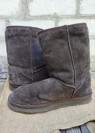 Ugg жіночі уггі