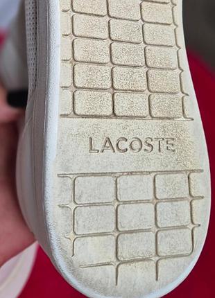 Магазины lacoste 5