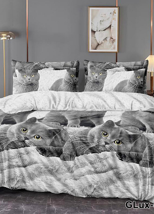 🏠 постель коти на сірому