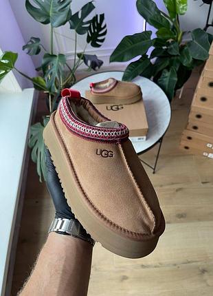 Ugg tasman platform chestnut