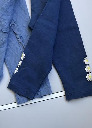 Штани лосіни 2