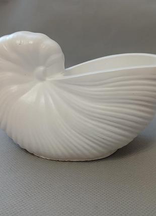 Ракушка ракушка ракушка гипсовая сувенир декор подарок шкатулка, горшок для цветов, кашпо для суккулентов