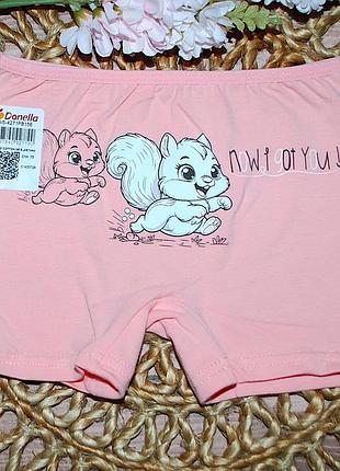 Шортики 4-5 рост 110-116 донела donella белочки