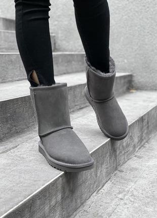 Ugg classic grey 🆕 шикарные женские угги 🆕 купить наложенный платёж3 фото