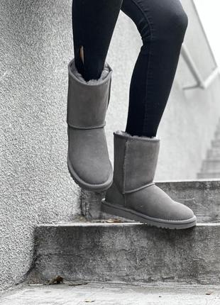 Ugg classic grey 🆕 шикарные женские угги 🆕 купить наложенный платёж1 фото