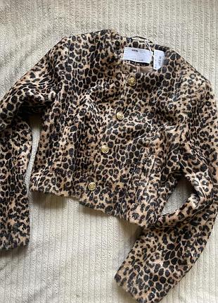 Жакет жіночий