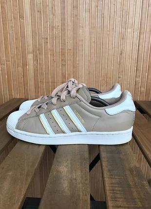 Кроссовки adidas superstar