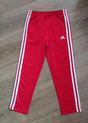 Штаны спортивные