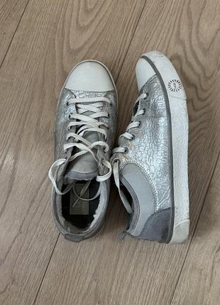 Кеди з хутром/замш ugg оригінал