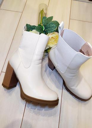 Женские сапожки на осень