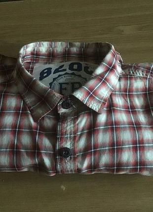 Чоловіча сорочка felixblow