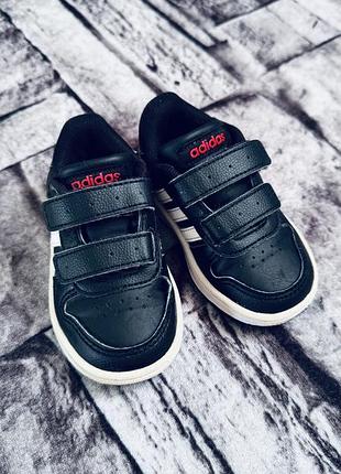 Кросівки adidas