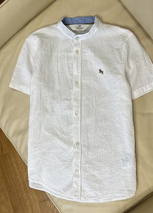 Комір стійка біла сорочка короткий рукав від h&m 9-10 років ріст 140 дов 58, шир 39.5