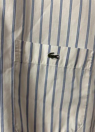 Сорочка рубашка lacoste 3