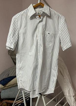 Сорочка рубашка lacoste