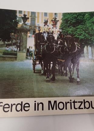 1983 pferde in moritzburg