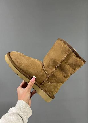 Женские кроссовки ugg brown v3