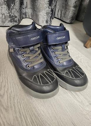 Зимние сапоги geox 34 размера