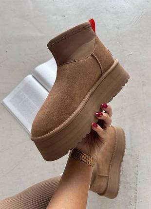 Угги mini dipper 2