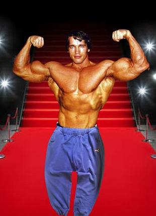 Спортивні штани puma xxl