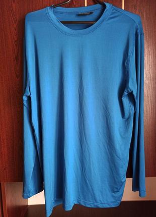 Фірмовий лонгслів dimensions