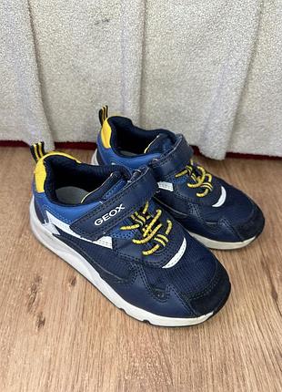 Кросівки geox