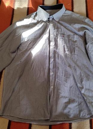 Рубашка tommy hilfiger