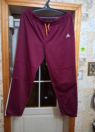 Спортивні штани 56 розмір