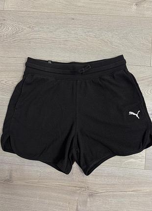 Шорти puma