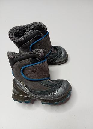 Ботинки ecco для мальчика