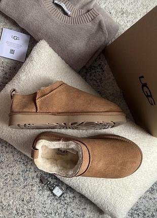 Уггі натуральні ugg classic micro chestnut