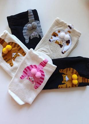 Жіночі шкарпетки " кіт", onesize