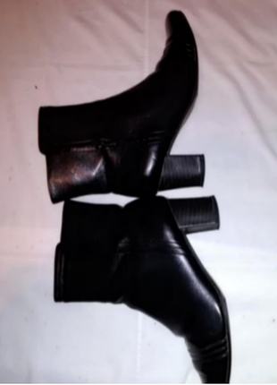 Напівчобітки чорні