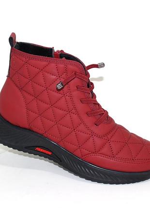 Черевики 113245 демісезонні на флісі