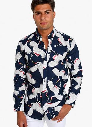 Чоловіча сорочка devil’s advocate, синя з принтом, м