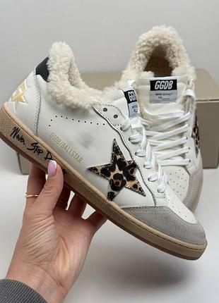 Кросівки golden goose