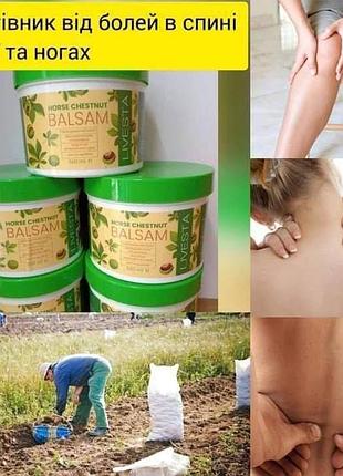 Бальзам с экстрактом конского каштана левиста, 500 мл (livesta)