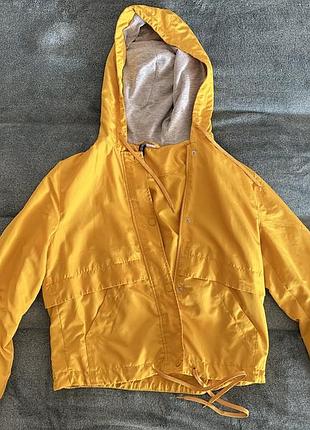 Жовта вітровка xs