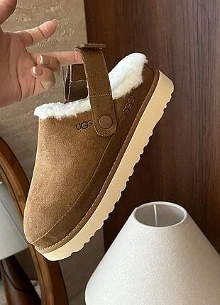 Жіночі уггі шльопанці сандалі помаранчеві замшеві ugg goldenstar clog chestnut