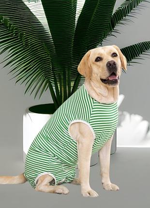 Попона післяопераційна для собак на кнопках розмір 5xl зелена