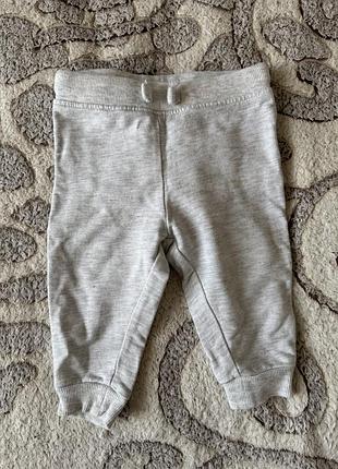 Спортивні штани